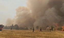 Çal’daki yangın ekiplerin müdahalesiyle durduruldu