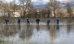 Sivrisinek Mücadelesi Muğla'da Hız Kazandı