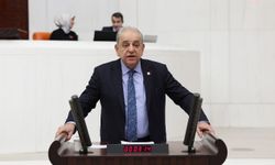 CHP’li Nalbantoğlu, “somut bulgu olması için ormanların tamamının yanması mı gerek”