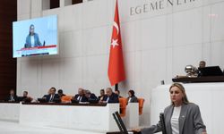 CHP'li Ösen’den Egeli milletvekillerine: Oy aldığınız köyler yerle bir edildiği zaman, maden ocaklarından çıkarılan kömürlerle mi konuşacaksınız?