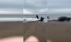 Pasifik’te tsunami uyarıları hafifletildi, ancak bazı bölgelerde riskin hala devam ettiği bildirildi