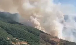 İzmir Bergama’daki yangın kontrol altında...