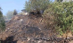 Alevler, evlere ulaşmadan söndürüldü