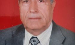 Cumhuriyetle yaşlı çınar hayatını kaybetti