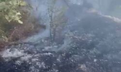 Datça’da kuru ot yangını korkuttu