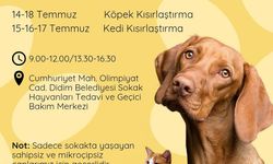 Didim Belediyesi’nden sokak hayvanlarına ücretsiz kısırlaştırma hizmeti
