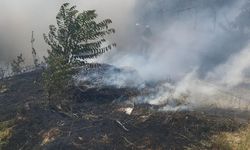 Gediz’de trafo yakınında ot yangını paniğe sebep oldu