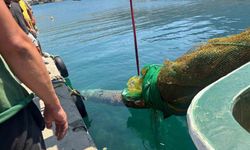 İzmir Karaburun’da balıkçı ağına denizaltı torpidosu takıldı