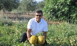 Kırkağaç Kavunu AB’den tescil alan 38. ürün oldu