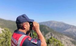 Uşak jandarması ormanlık alanlarda kuş uçurtmuyor