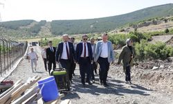 Vali Musa Işın, Tavşanlı’da ’Doğal Yaşam Alanı Projesi’ için arazi incelemesinde bulundu