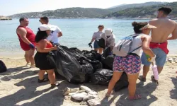 Avrupalı Gençler Foça’da Doğaya Sahip Çıktı: Sazlıca Koyu'nda Temizlik Seferberliği
