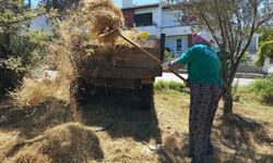 Ayvalık’ta yeşil alanlar artıyor: Belediye Başkanı’ndan yurttaşa övgü
