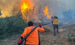 BUCAKUT ekibi İzmir yangınlarında kritik görev üstlendi