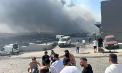 Buca’da orman yangınına neden olan şüpheli tutuklandı