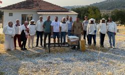 Manisa Büyükşehir Belediyesi’nden arıcılara tam destek