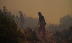 Çeşme’de alevlere karşı büyük mücadele