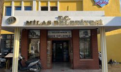 Milas'ta %50 Hibe ile Kışlık Sebze Fidesi Desteği Başlıyor