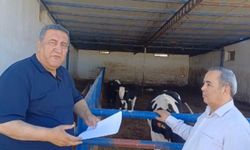 Ömer Fethi Gürer: Et açığı sürüyor, üretici bitiyor
