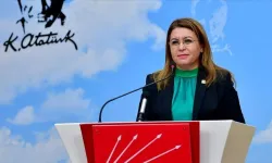 CHP’li Gülizar Biçer Karaca:' Bu Felakette İnsan da Yandı'
