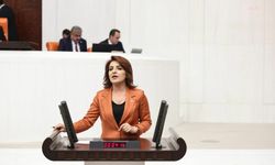 CHP'li Kış: Bu düzen Mehmet Şimşek’in faizci programının eseridir