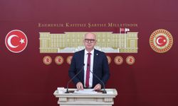 CHP’li Sarı: Türkiye’nin orman yangını yönetimi sınıfta kaldı