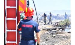 İzmir'de bir ayda 26 bin 260 hektar alan yandı!