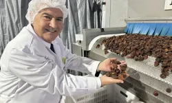 Kuru meyve sektöründe 12 ihracat şampiyonunun 11’i Egeli