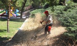 Menderes’te ot temizliğiyle yangın riski önleniyor