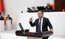CHP’li vekil Karakoz’dan TBMM’de zeytinlik savunması