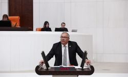 CHP’li Bülbül’den sert tepki: “Zeytinlikleri talan yasasını geri çekin”