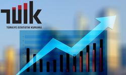 Lisans Mezunlarının Yarısı Kendi Alanında Çalışamıyor