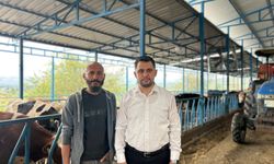 Bozdoğanlı Üreticiden Süt Fiyatına Tepki: “Bu Artış Maliyetleri Karşılamıyor”