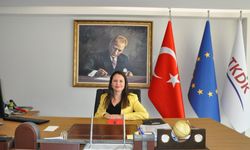 Yatırımcıya büyük fırsat: TKDK’dan yeni hibe çağrısı