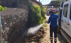 30 ilçede ilaçlama: İzmir’de sivrisinek alarmı