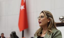 Elvan Işık Gezmiş: “Hastalar ilaçsız kalıyor”