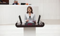 Gülcan Kış’tan torba yasaya tepki!