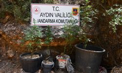 Jandarmadan Aydın’da Yasaklı Madde Operasyonu