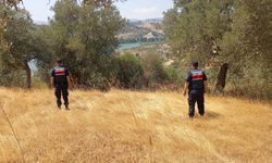 Aydın’da ormanlara izinsiz giriş yasaklandı
