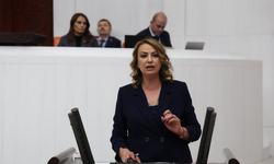 CHP’den Asi Nehri Barajı İçin Yatırım Çağrısı
