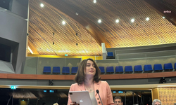 CHP'li Bankoğlu’ndan Gençlik Delegesi Enes Hocaoğulları'nın tutuklanmasına tepki: Düşman hukuku uygulanıyor