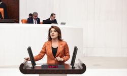 CHP’li Gülcan Kış: “Bu siyasi darbedir”