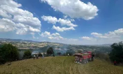 Manisa’da tütün tarlasında korkutan yangın