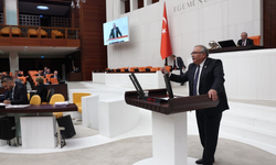 CHP'li Bülbül nedir bu köylünün çektiği eziyet dedi