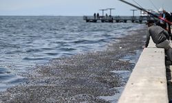Yaz Kapıda, Kirlilik Yine Kıyıda: İzmir’de Denize Girilecek Mi?