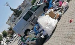 Nergiz Mahallesi'nde Çöp Sorunu: Vatandaşlar Şikayetçi