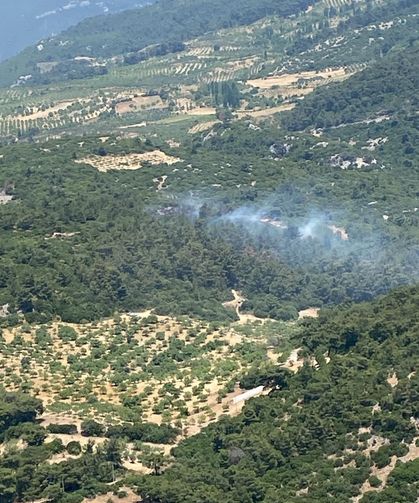 Germencik’te orman yangını kontrol altına alındı