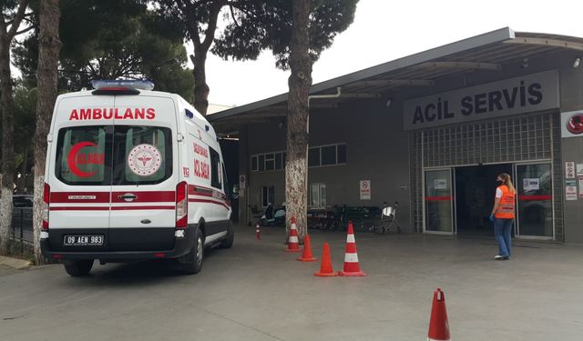 Aydın’da Tarlaya Giden Yaşlı Adam Ölü Bulundu