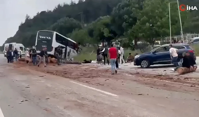 Çanakkale’de Feci Kaza: Yolcu Otobüsü İle Kamyon Çarpıştı