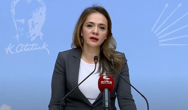 CHP’li İlgezdi: "Türkiye’de İnsanlar İki Hayatla Yaşıyor"